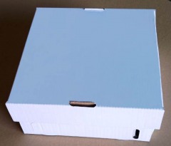 Caixa com Tampa p/ Frutas 22x21,5x10 branca pct c/ 50 unid.